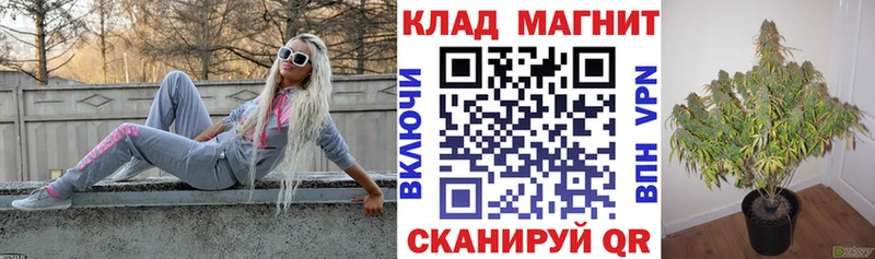 Цена Юрьевец АМФ  Бутират  ГАШ  Конопля  Псилоцибиновые грибы  СОЛЬ  Мефедрон 
